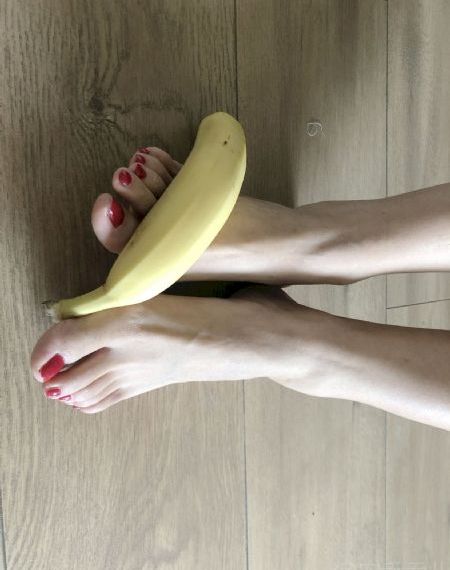 大唐狄公案西瓜影视免费播放_4K在线播放观看