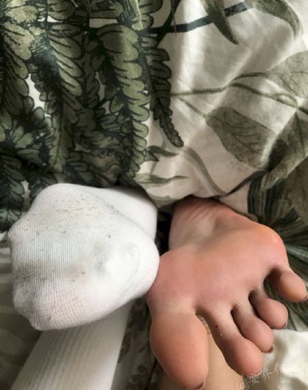 凤凰影视_BD国语动漫在线观看